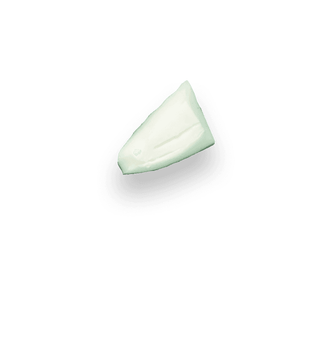 Kawałek kokosa