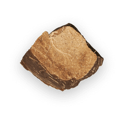 Kawałek kokosa