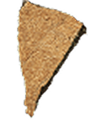 Kawałek kokosa